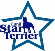 Star Terrier